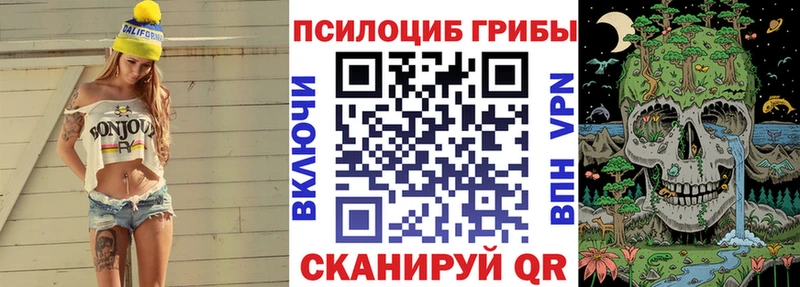 Псилоцибиновые грибы GOLDEN TEACHER  Усть-Кут 